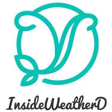 Lingerie, Bralettes, Thongs. Luxury Lingerie | InsideWeatherD